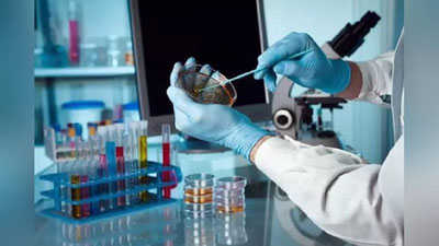 'Olimlar vabo epidemiyasining kuchayishining sababini aytishdi'ning rasmi