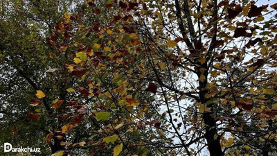 'Yangi haftada ob-havo qanday bo`lishi e`lon qilindi'ning rasmi