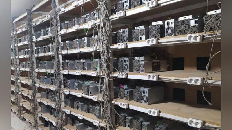 'Farg`onada 2,8 mlrd so`mdan ziyod zarar keltirgan mayning ferma faoliyati to`xtatildi'ning rasmi