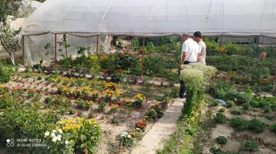 'Senator Uychi tumanida “Bir mahalla – bir mahsulot” tamoyili bo`yicha olib borilayotgan ishlar bilan tanishdi'ning rasmi