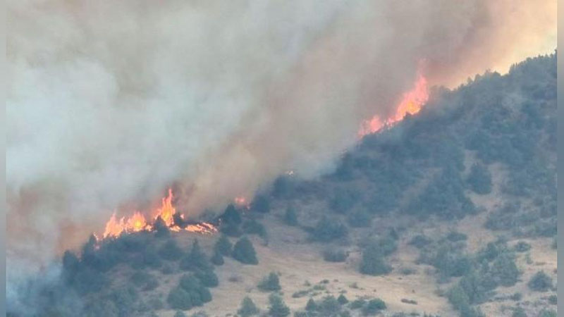 'Chotqol davlat biosfera qo`riqxonasida yong`in sodir bo`ldi'ning rasmi