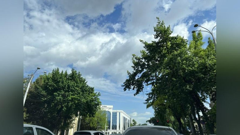 'Ba`zi kunlari quyoshli issiq, ba`zi kunlari esa yomg`ir'ning rasmi