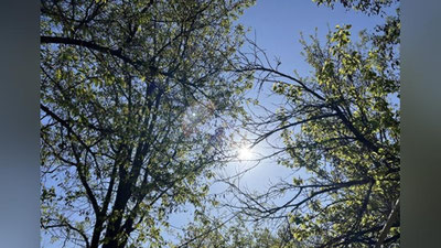 '11 aprel kuni O`zbekistonda 32 daraja issiq bo`ladi'ning rasmi