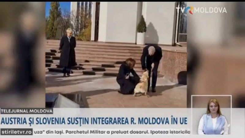 'Молдова президентининг ити мамлакатга расмий ташриф билан келган Австрия президенти Ван дер Белланни тишлаб олди (видео)'ning rasmi