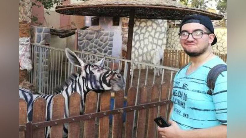 'Eshakmi yoki zebra?'ning rasmi