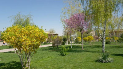 '31 март куни қандай об-ҳаво кузатилади?'ning rasmi