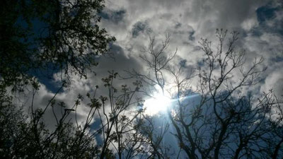 Изрображение 'НА НЕДЕЛЕ НАС ОЖИДАЕТ ПЕРЕМЕНЧИВАЯ ПОГОДА'