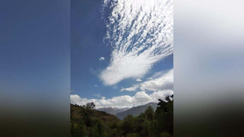 Изрображение 'ЖИТЕЛЕЙ КАКИХ РЕГИОНОВ 20 ИЮНЯ ОЖИДАЮТ ИЗМЕНЕНИЯ В ПОГОДЕ?'