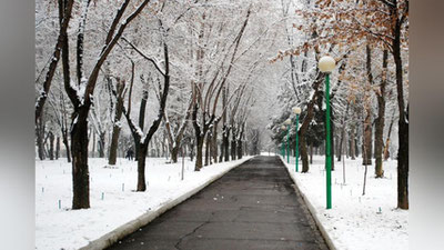 '20 dekabr kuni qanday ob-havo kutilmoqda?'ning rasmi