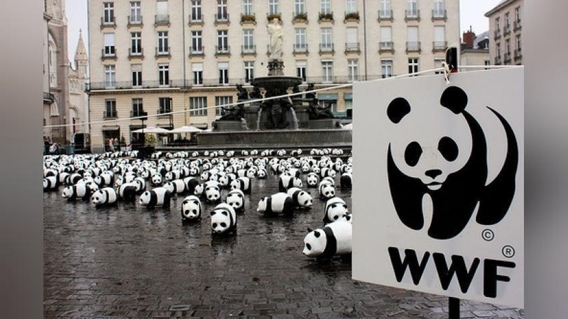 Изрображение 'ВСЕМИРНЫЙ ФОНД ДИКОЙ ПРИРОДЫ: БОЛЬШИНСТВО ВИДОВ ЖИВОТНЫХ ИСЧЕЗНУТ С ЛИЦА ЗЕМЛИ'