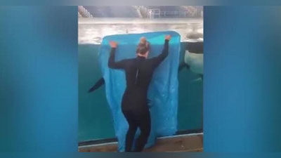 'Kosatkalar “ko`zdan g`oyib bo`lish” nayrangiga uchishmadi (Video)'ning rasmi