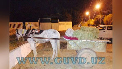 Изрображение 'НА БЛОКПОСТУ В ТАШКЕНТЕ ОСТАНОВИЛИ КОННУЮ ПОВОЗКУ С МАРИХУАНОЙ'