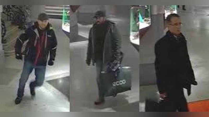 'Avstriyada Ogyust Renuar ijodiga oid suratni o`g`irlashda 3 kishi gumon qilinmoqda 'ning rasmi