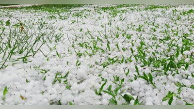 'Musht kattaligidagi do`l bir kishining hayotiga zomin bo`ldi (Video)'ning rasmi