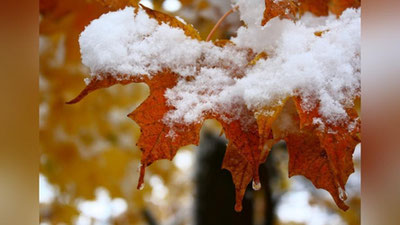 Изрображение 'НАЧАЛО КАЛЕНДАРНОЙ ЗИМЫ ВЫДАСТСЯ СУРОВЫМ: ПОГОДА НА НЕДЕЛЮ'