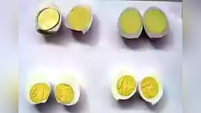 '“O`rikzor”da rostdan ham sun`iy tuxumlar sotilayaptimi? (videoreportaj)'ning rasmi