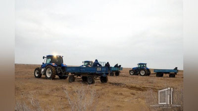 'Orol dengizining 363 ming gektar qurigan maydoniga saksovul ekildi ​'ning rasmi