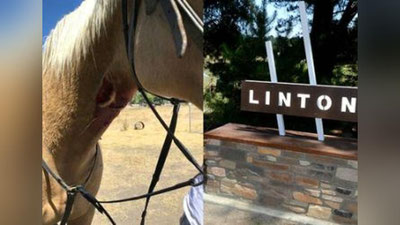 'От эгасини итнинг ҳужумидан  қутқарди'ning rasmi