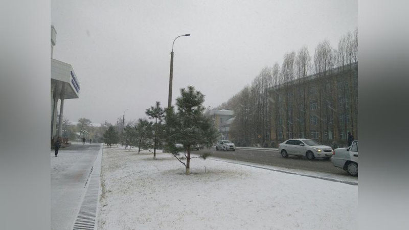 Изрображение 'УЧЕНЫЕ РАССКАЗАЛИ О СМЕРТЕЛЬНОЙ ОПАСНОСТИ ЗИМЫ'