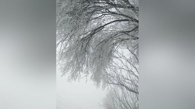 'Qashqadaryo va Surxondaryo viloyatlarida bulduruq hodisasi sodir bo`lmoqda'ning rasmi