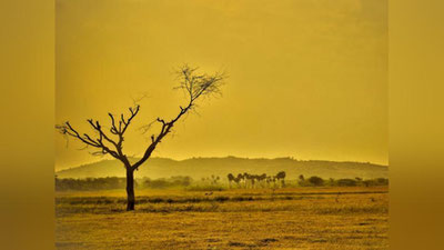 'Global halokatning oldini olishning yagona usuli ma`lum qilindi 'ning rasmi