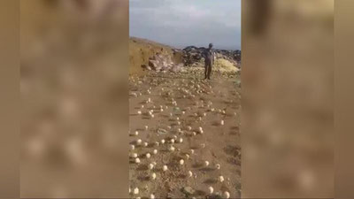 'Chiqindixonaga tashlab yuborilgan tuxumlardan yuzlab jo`ja ochib chiqdi (video)'ning rasmi