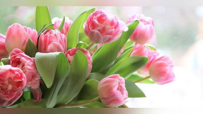 '8 mart kuni qanday ob-havo kuzatiladi?'ning rasmi