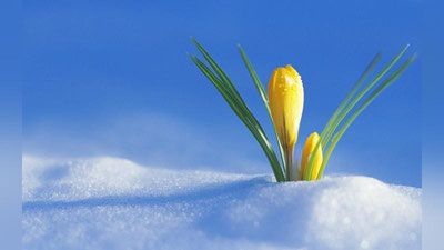 'Bahorning ikkinchi kunida qanday ob-havo kuzatiladi?'ning rasmi