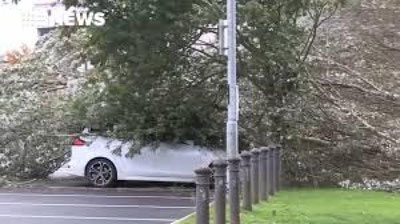 'Irlandiya va Shotlandiya ham xavf ostida qoldi'ning rasmi