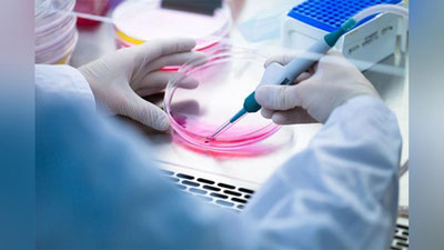 Изрображение 'УЧЕНЫЕ ДОКАЗАЛИ ЭФФЕКТИВНОСТЬ СРЕДСТВА ОТ СТАРОСТИ'