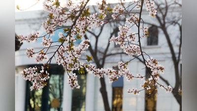 '6 mart kuni kutilayotgan ob-havo ma`lumoti'ning rasmi