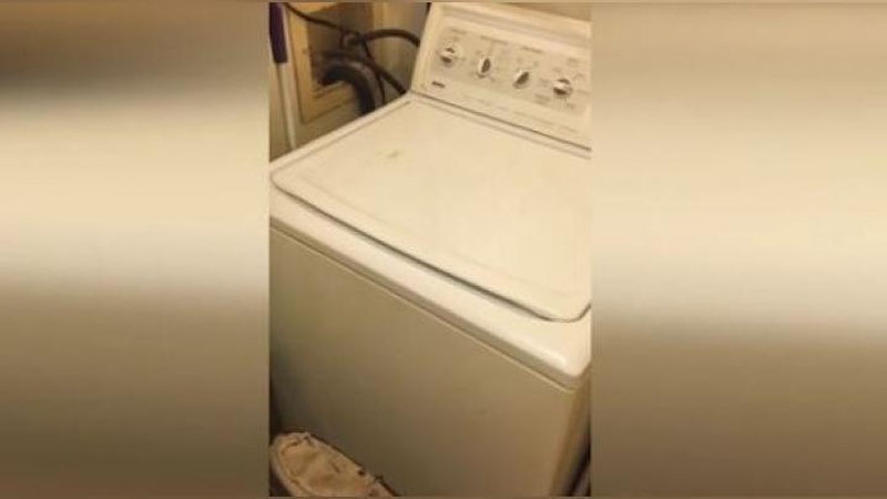 Изрображение 'АМЕРИКАНСКИЙ БЛОГЕР СПЕЛ ДУЭТОМ СО СТИРАЛЬНОЙ МАШИНОЙ (ВИДЕО)'