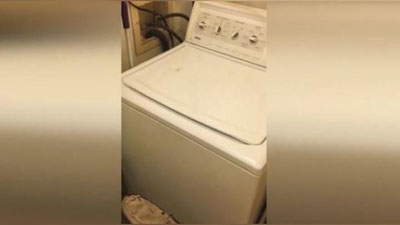 Изрображение 'АМЕРИКАНСКИЙ БЛОГЕР СПЕЛ ДУЭТОМ СО СТИРАЛЬНОЙ МАШИНОЙ (ВИДЕО)'