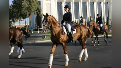 Изрображение 'У ПЛЕМЕННЫХ И СПОРТИВНЫХ ЛОШАДЕЙ БУДУТ СВОИ "ПАСПОРТА"'