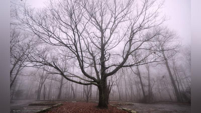 Изрображение 'ПРОГНОЗ СИНОПТИКОВ НА  5 МАРТА'