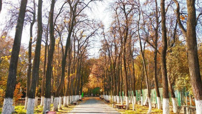 '5 dekabr kuni kutilayotgan ob-havo ma`lumoti'ning rasmi