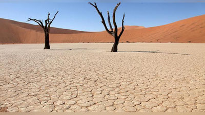 'Yangi eraga rasmiy nom berildi'ning rasmi