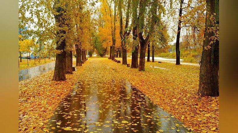 '22 noyabr kuni havo o`zgarib turadi, vaqti-vaqti bilan yomg`ir yog`adi'ning rasmi