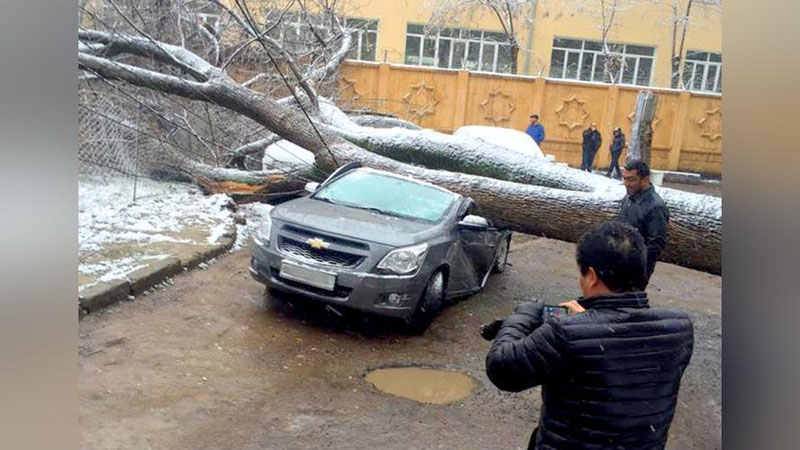 '​Toshkentdagi noqulay ob-havo Cobalt`ni Cabriolet`ga aylantirdi(Foto) 'ning rasmi