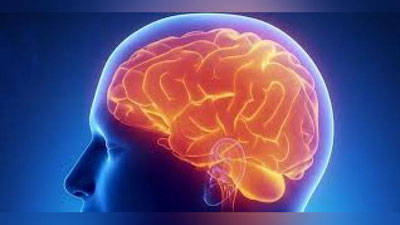 'Meningit kasalligi tarqalayotgani rostmi? (video)'ning rasmi