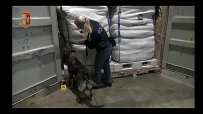 'Italiyaning Genui portida katta miqdordagi giyohvand modda musodara qilindi 'ning rasmi