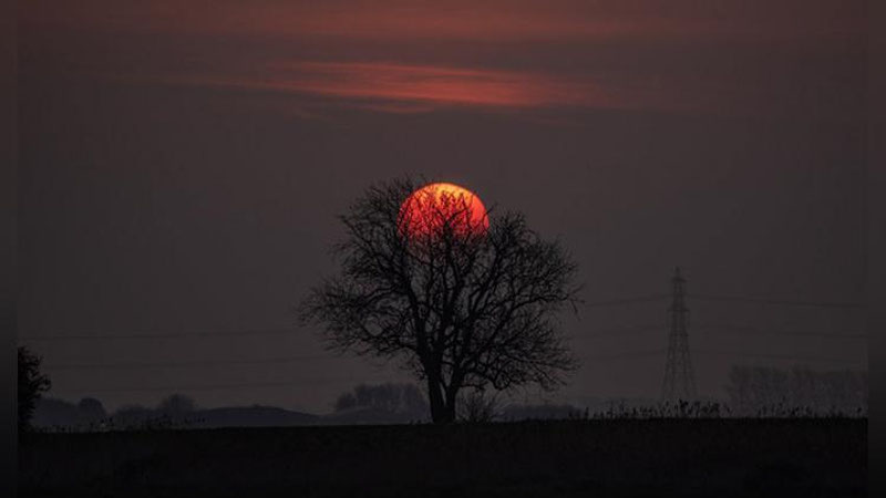 Изрображение 'РОЗОВОЕ ПОЛНОЛУНИЕ НАБЛЮДАЛИ ЖИТЕЛИ ЗЕМЛИ (ВИДЕО)'
