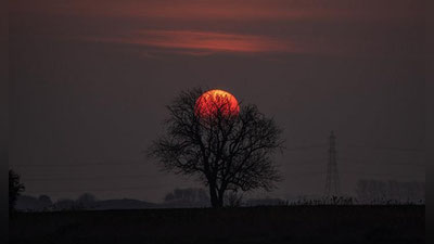 Изрображение 'РОЗОВОЕ ПОЛНОЛУНИЕ НАБЛЮДАЛИ ЖИТЕЛИ ЗЕМЛИ (ВИДЕО)'