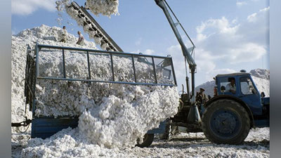 'Surxondaryodagi paxta sexida ko`p miqdorda davlat mulki talon-toroj qilinganligi aniqlandi  'ning rasmi