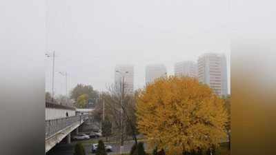 '3 noyabr kuni kutilayotgan ob-havo ma`lumoti'ning rasmi