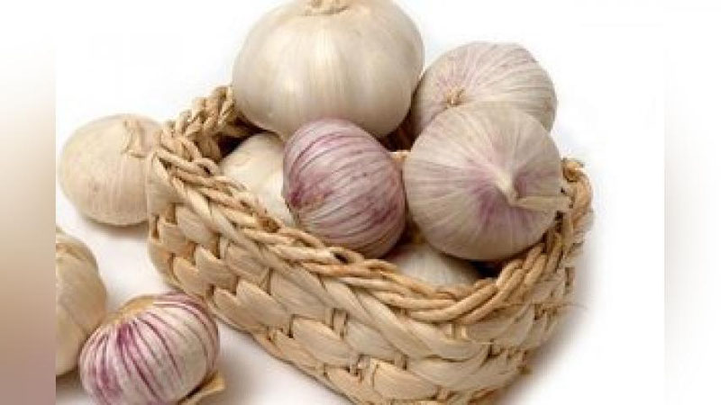 'MIKROBLARGA QARShI KURAShAMIZ'ning rasmi