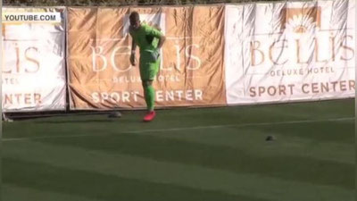 Изрображение 'ЧЕРЕПАХИ ЕДВА НЕ СОРВАЛИ МАТЧ УКРАИНА - СЕВЕРНАЯ МАКЕДОНИЯ (ВИДЕО)'