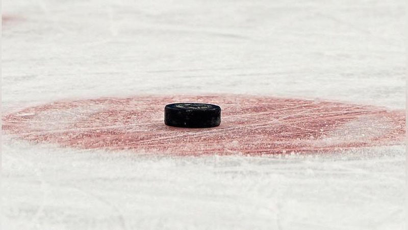 Изрображение 'В КХЛ МОЖЕТ ПОЯВИТЬСЯ ХОККЕЙНЫЙ КЛУБ ИЗ ТАШКЕНТА'