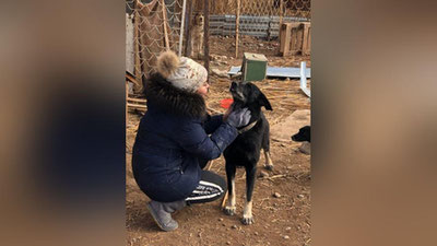 Изрображение 'Жестокость не пройдет: готовится постановление о защите животных и создании приютов'