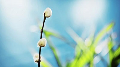 Изрображение 'Синоптики: На неделе погода будет по-весеннему переменчивой'